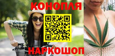 шишки Кинель