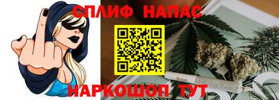 шишки Кинель