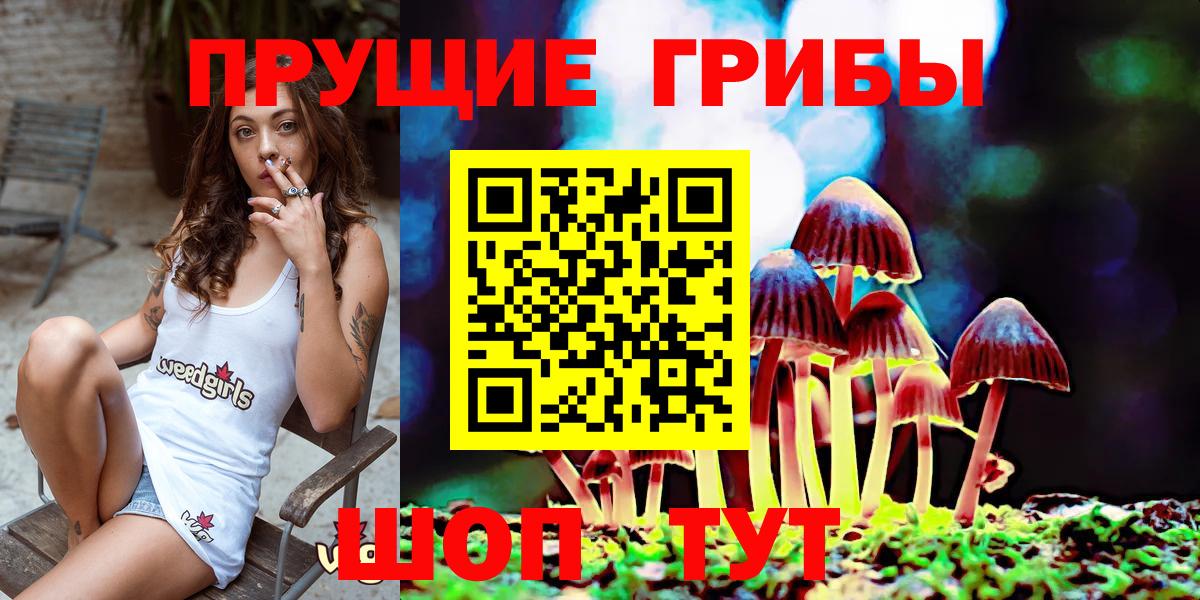 Псилоцибиновые грибы мухоморы  Псилоцибиновые грибы ЛСД  Дербент  Вход с VPN 