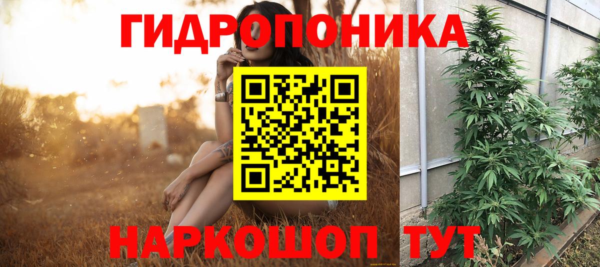 Шишки марихуана OG Kush Дербент